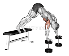 Pike Push-up demonstration