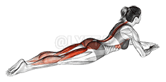 Lying Single Leg Kick demonstration