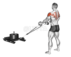 Power Sled Rear Fly demonstration