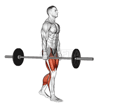 Barbell Suitcase Carry demonstration