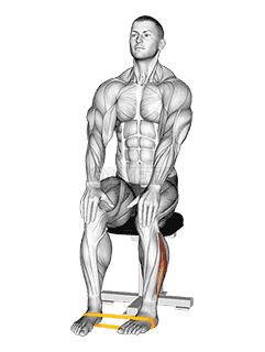 Resistance Band Foot External Rotation demonstration