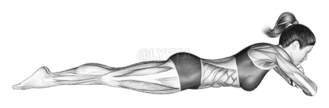 Static Position Lying Front demonstration