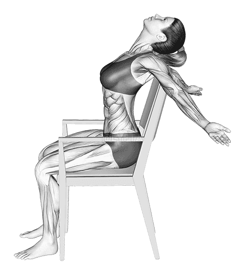 Static Position Seated Back demonstration