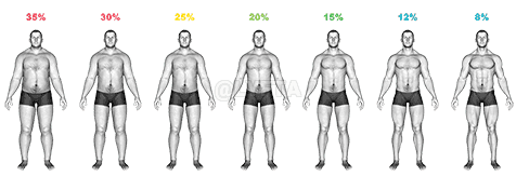 Body Fat Percentage demonstration