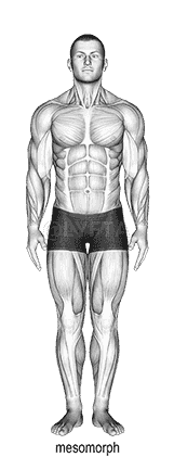Body Type demonstration