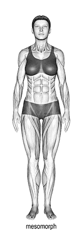 Body Type demonstration