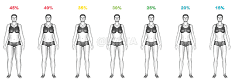 Body Fat Percentage demonstration