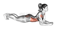 Elbow Push up demonstration