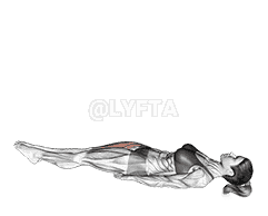 Lying Single Leg Raise demonstration