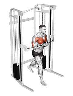 Cable Standing Close Press demonstration