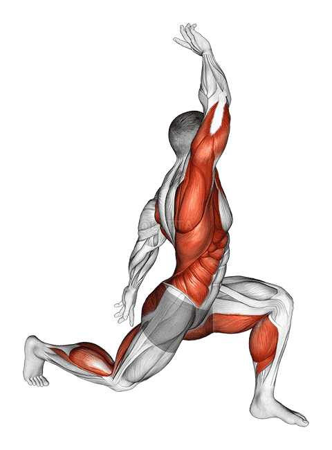 Warming-up in Lunge demonstration