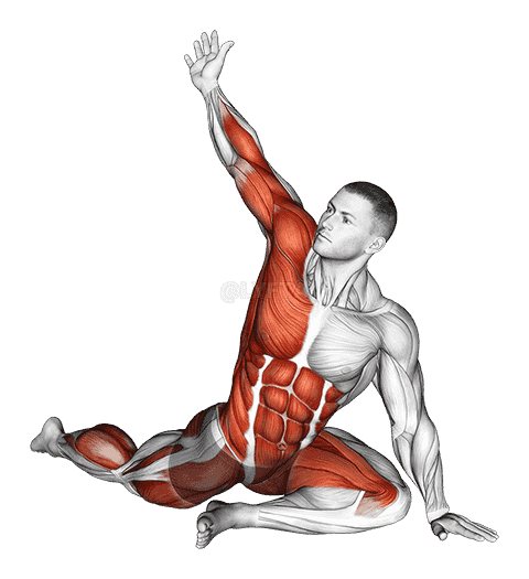 Lying Leg Tuck Hip Twist Stretch demonstration