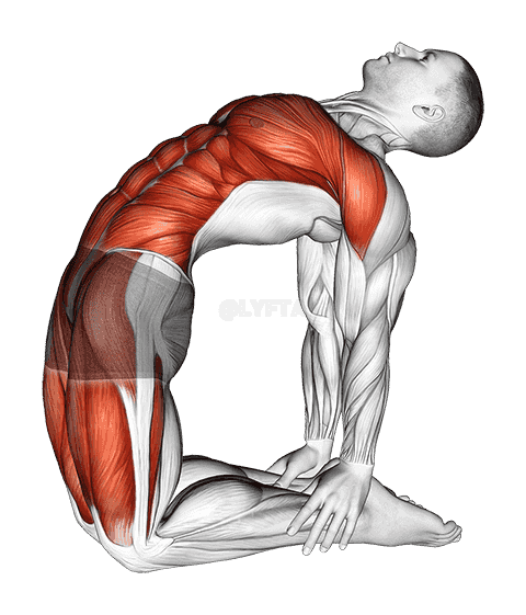 Camel Pose demonstration