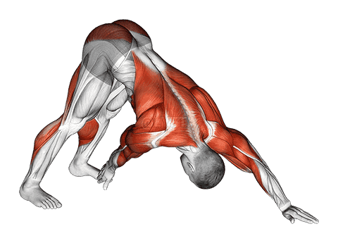 Downward Facing Dog Toe Touch demonstration