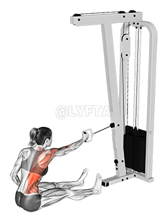 Cable One Arm Twisting Seated Row demonstration
