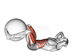 Leg Extension Crunch demonstration