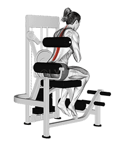 Lever Back Extension demonstration