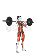 Barbell Clean and Press demonstration