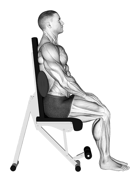 Static Position Seated Back with Pad demonstration
