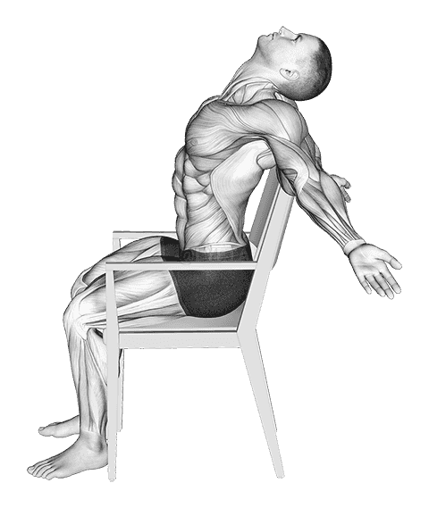 Static Position Seated Back demonstration