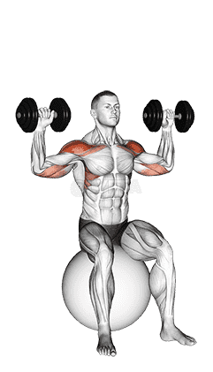 Dumbbell Seated on Exercise Ball Shoulder Press demonstration