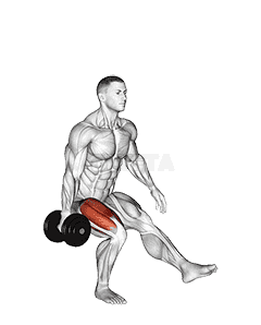 Dumbbell Single Leg Squat demonstration