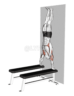 Handstand Shoulder Press with Wall demonstration