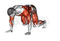 Side Bear Crawl demonstration