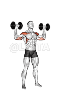 Dumbbell Alternate Shoulder Press demonstration
