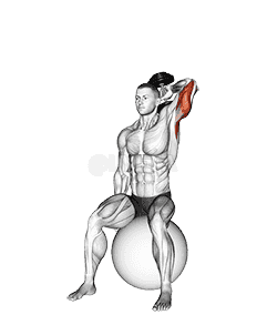 Dumbbell One Arm Triceps Extension on Stability Ball demonstration