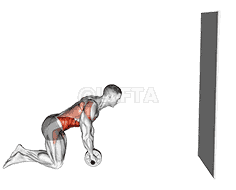 Wheel Rollout with Wall Support demonstration