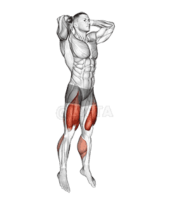 Prisoner Jump Squat demonstration