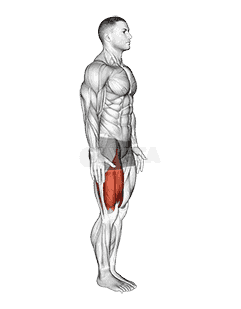 Knee Raise demonstration