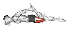 Quadriceps lying stretch demonstration