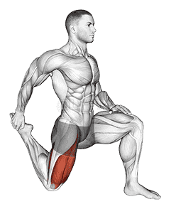 Quadriceps stretch demonstration