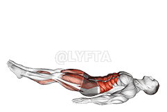 Single Straight Leg Stretch demonstration