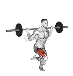 Barbell Single Leg Squat demonstration