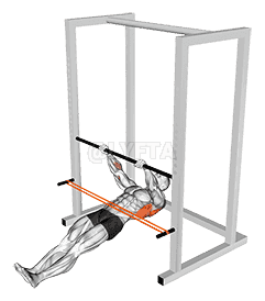 Resistance Band Inverted Row demonstration