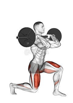 Barbell Front Rack Split Squat demonstration