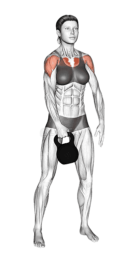 Kettlebell Standing Slingshots demonstration